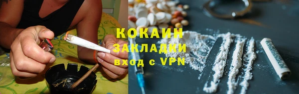 a pvp Тайга