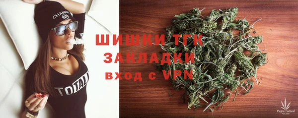 a pvp Тайга