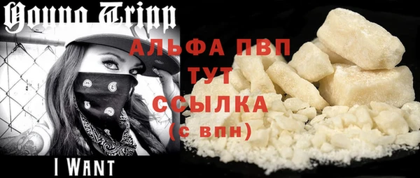 a pvp Тайга